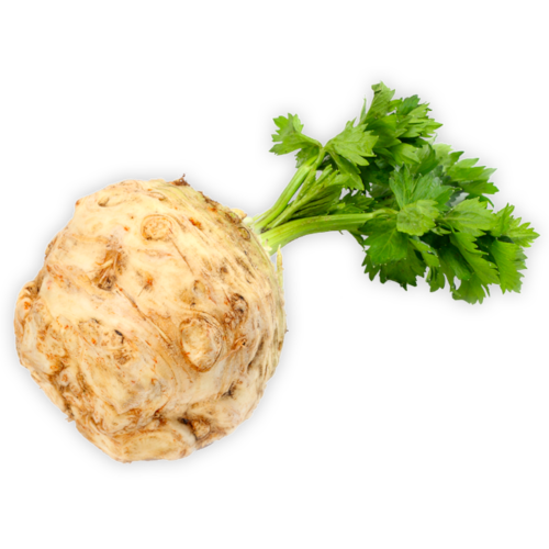 Celery Root