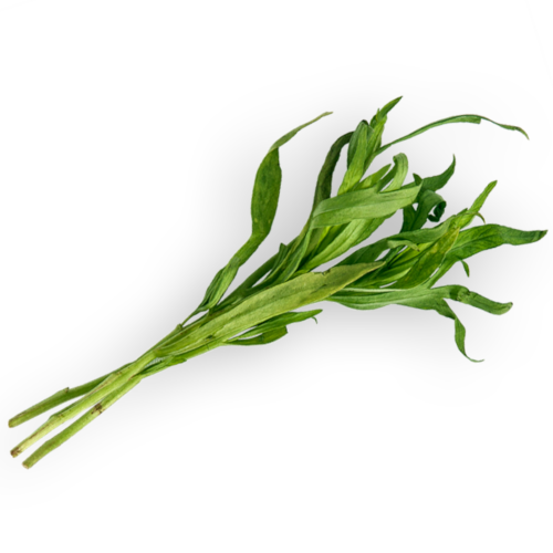 Tarragon