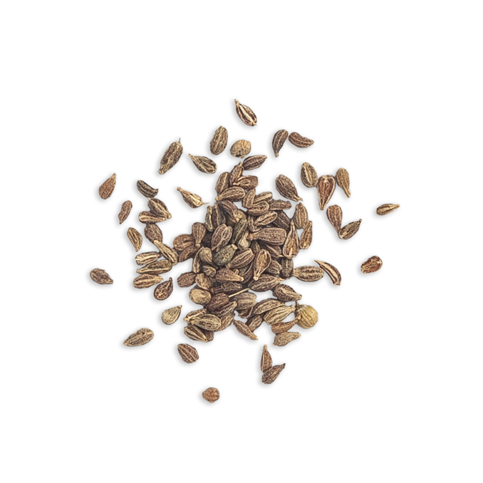 Anise Seed