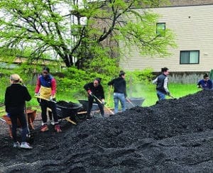 Volunteers in Bronzeville