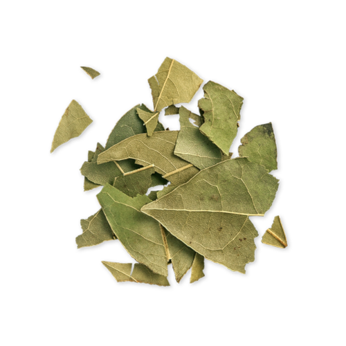 Curry Leaf