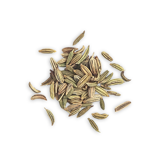 Fennel Seed