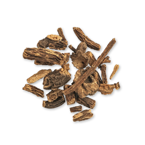 Gentian Root